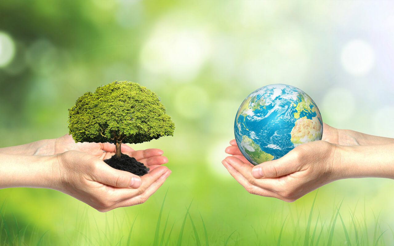Baosikais Commitment to Sustainability and Eco Friendly Products