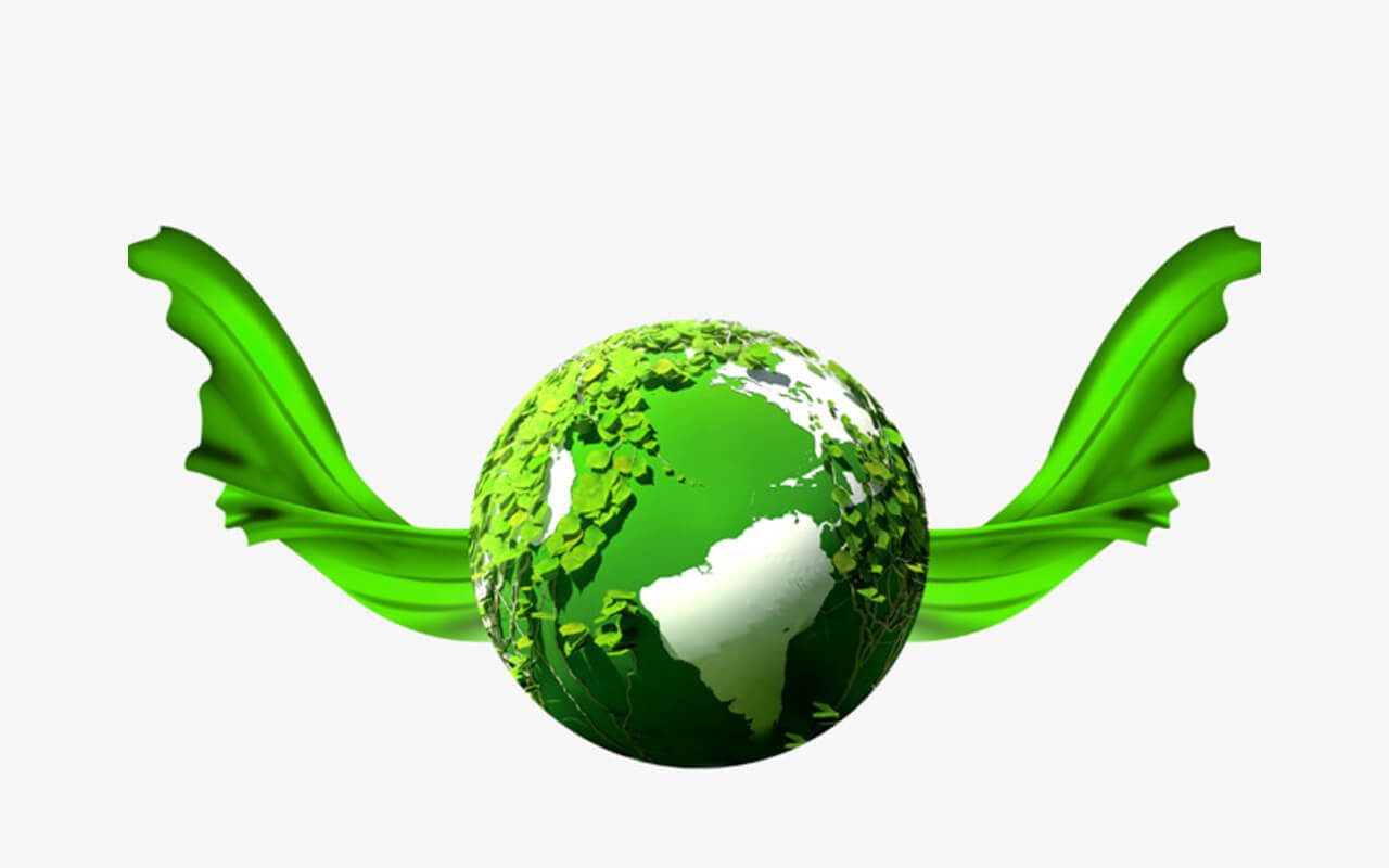 environmental practice